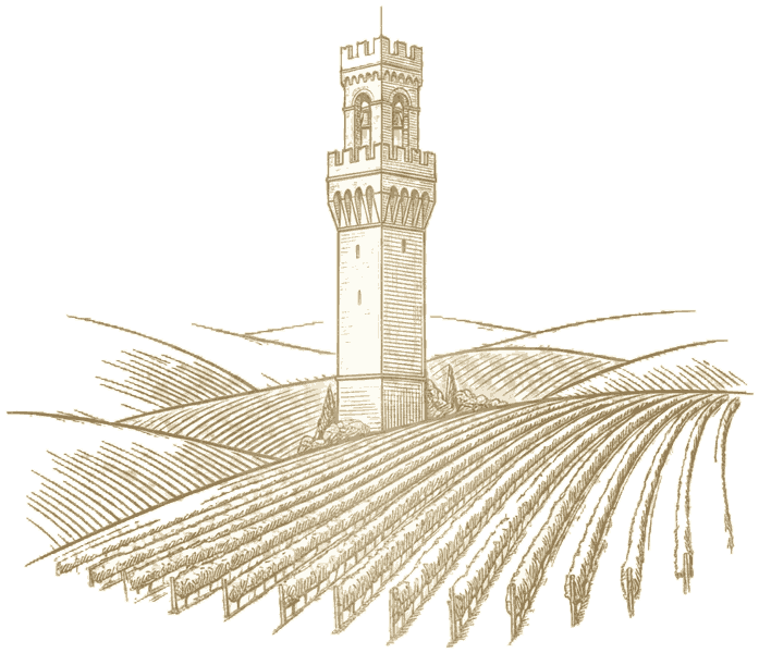wijngaard-toren-transparant Italiaanse wijngaard met toren